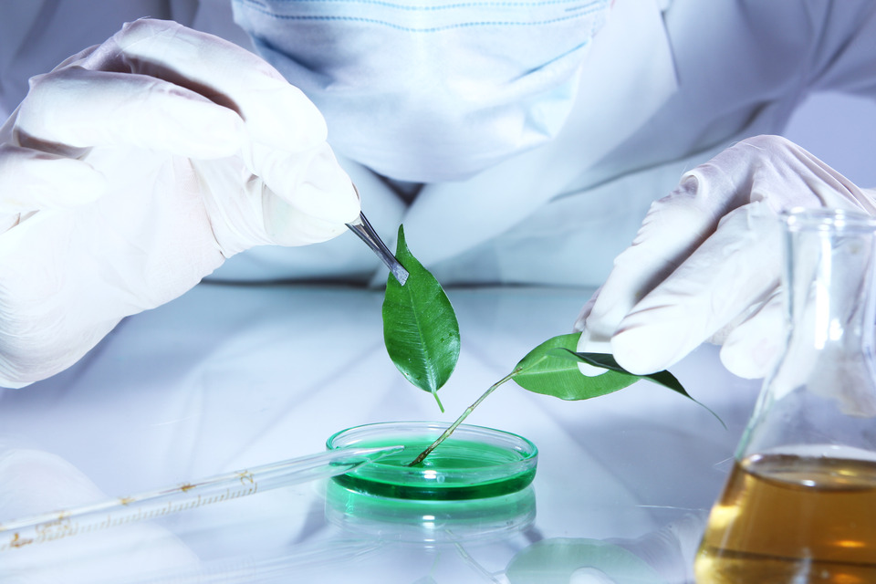 B.Sc Biotechnology